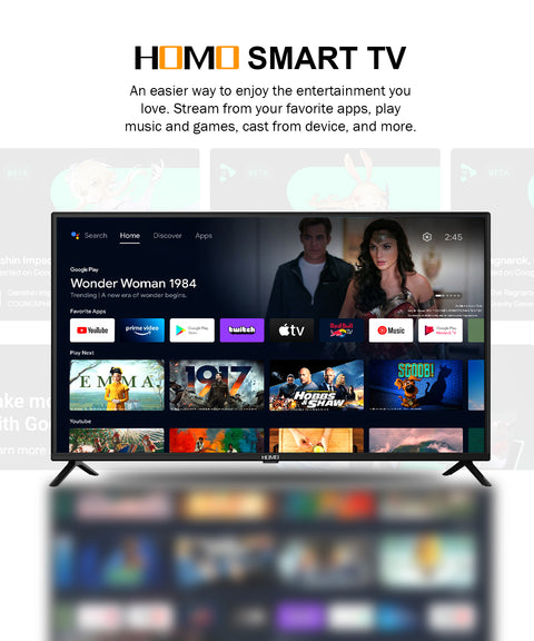 HOMO 24" HD Smart LED TV - Compact Smart TV with ISDB-T Tuner