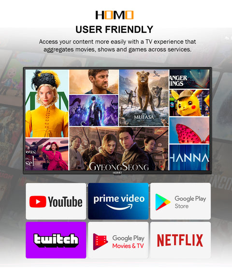 HOMO 24" HD Smart LED TV - Compact Smart TV with ISDB-T Tuner